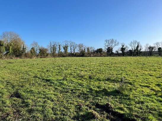 Photo 1 of 3.5 Acres Clonbarron, Kildalkey