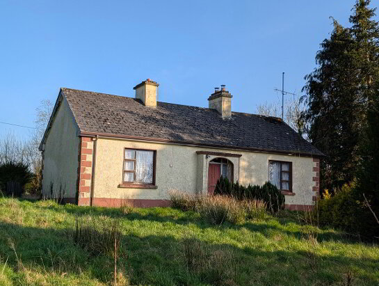 Photo 1 of Boley, Bawnboy