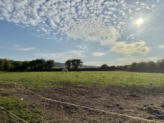 Photo 1 of Ballynacourty South , Ring, Dungarvan