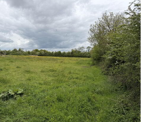 Photo 1 of Site At, Kyleannagh, Clonakenny, Roscrea