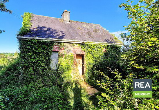 Photo 1 of Old Rathvilly Road, Lathaleer, Baltinglass