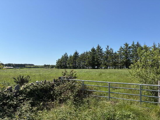 Photo 1 of Boherboy, Youghal, Grange