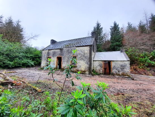 Photo 1 of Ballynakillew Mountain, Laghy