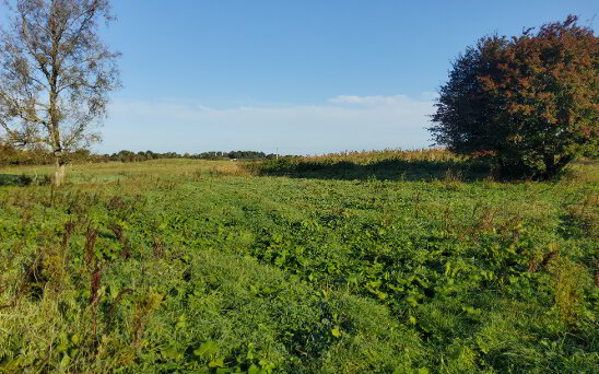 Photo 1 of 38 Acres, Martinstown, Athboy