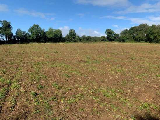 Photo 1 of Ballycapplewood, Bantis, Cloughjordan, Nenagh