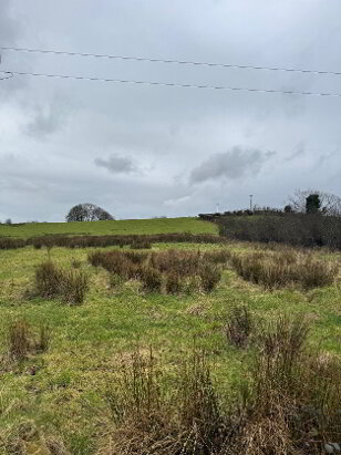 Photo 1 of Toneneave,, Maghercloone,, Carrickmacross