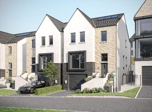 The Boston Fern, Ferndene, Dundonald, Belfast photo