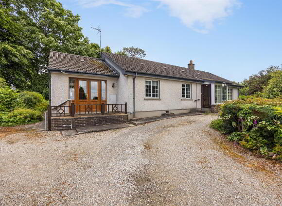 40 Downpatrick Road