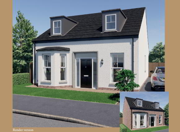 Elder, Roe Wood, Ballyquin Road, Limavady, BT49 9EY photo