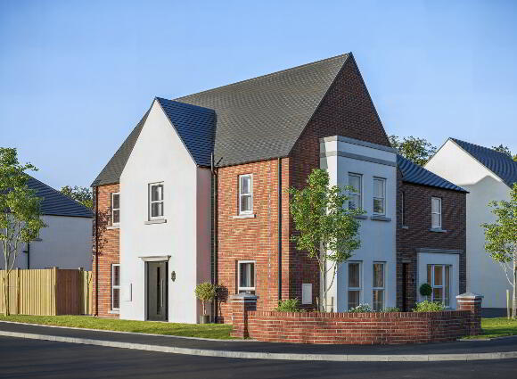 The Beech, Mill Bank Park, Roe Mill Road, Limavady photo