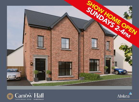 The Lowey, Carrow Hall, Carrowreagh Road, Dundonald photo
