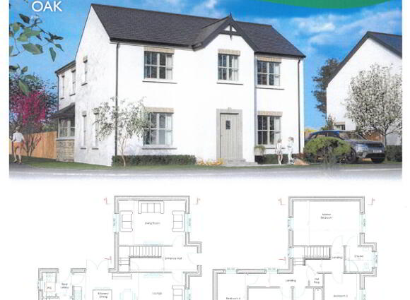 Oak, Tullybroom Heights Clogher, Tullybroom Heights, Clogher photo