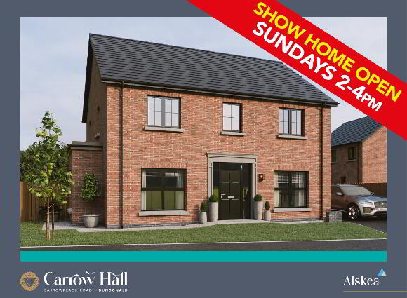 The Alexandra, Carrow Hall, Carrowreagh Road, Dundonald photo