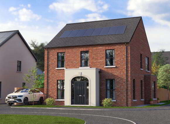 The Aster, Ballynery Meadows, Derrymacash, Lurgan photo