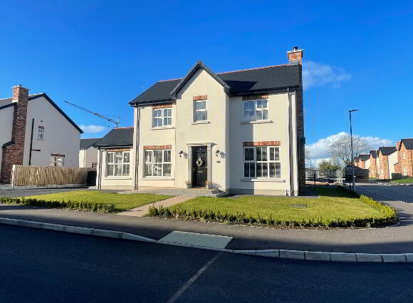 The Chicory (lh), Larden Meadows, Donaghmore, Dungannon photo
