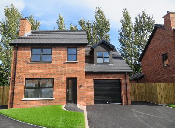 Detached With Garage, Lilburn Hall Manor, Lurgan photo
