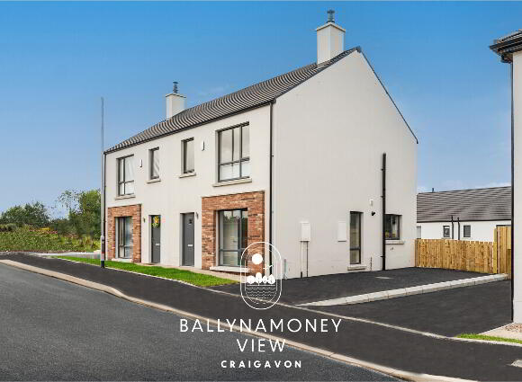 The Delaware, Ballynamoney View, Craigavon, Lurgan photo
