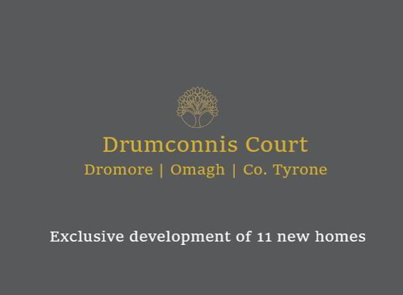 Semi Detached (hta), Drumconnis Court, Omagh Road, Dromore, BT78 3AJ photo