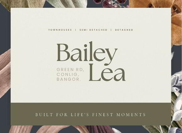 Coming Soon, Bailey Lea, Green Road, Conlig photo