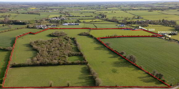 Photo 1 of 44 Acres Castlesheppard, Ballingarry