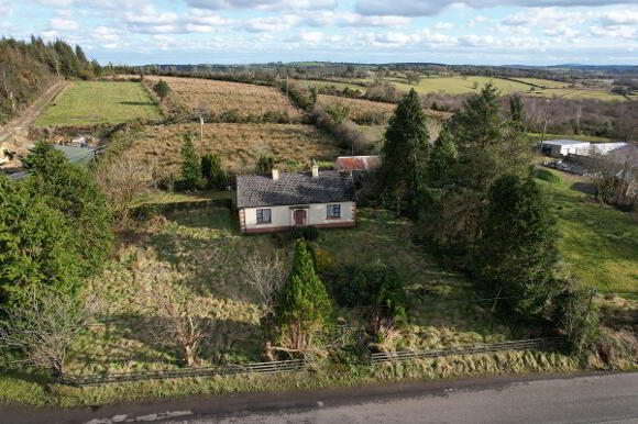 Photo 1 of Boley, Bawnboy