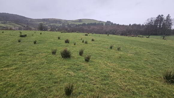 Photo 1 of Lands At Glen Road, Tempo
