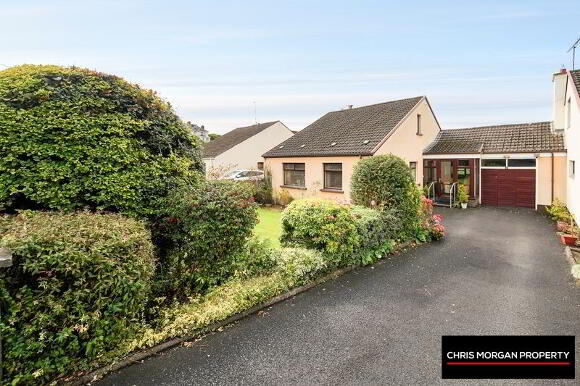 Photo 1 of 42 Woodlawn Park, Dungannon