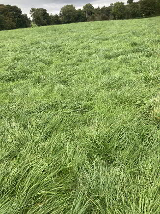 Photo 1 of 70 Acres 4th Cut Silage, Ballynahatty, Fintona, Omagh
