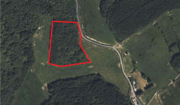 Photo 1 of Circa 7.2 Acres, Of Unmanaged Woodland, Clogher
