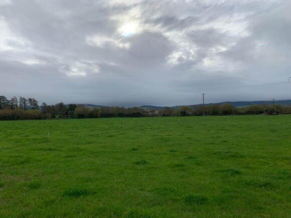 Photo 1 of Coolagh, Ballinaclough, Nenagh