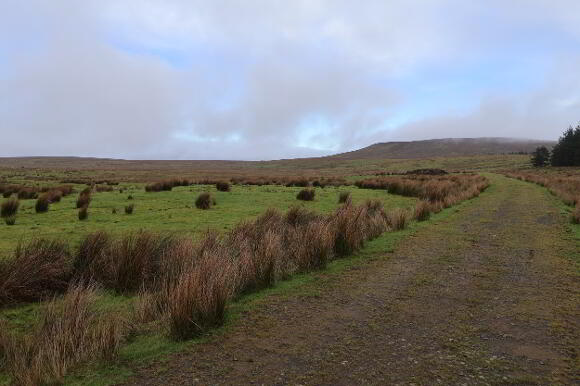 Photo 1 of Shanes Hill, Hightown, Larne