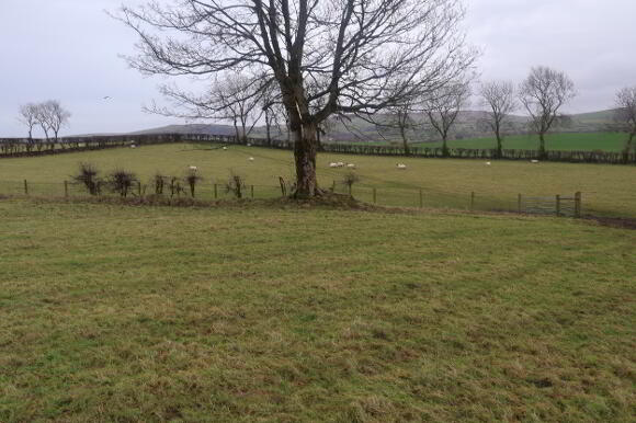 Photo 1 of 'Mounthamilton', Adj To 167 Ballyveely Road, Cloughmills, Ballymena