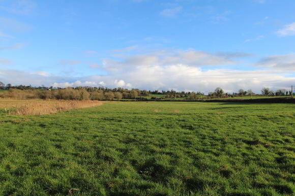 Photo 1 of Prospect, Puckane, Nenagh