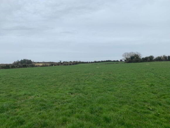 Photo 1 of Monsea, Ballycommon, Nenagh