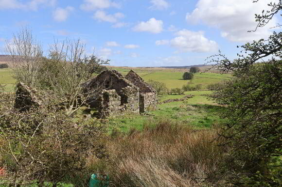 Photo 1 of 60m East Of, 38 Old Cushendun Road, Newtowncrommelin, Ballymena
