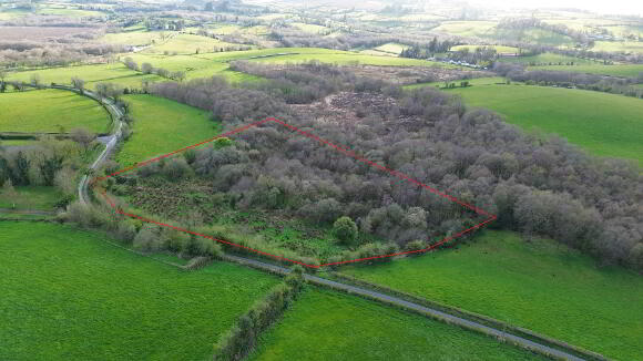 Photo 1 of Site, & 4.5 Acres Burrow Road, Omagh