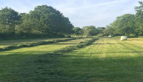 Photo 1 of First Cut Of Silage, Fintona /Omagh Area, Omagh