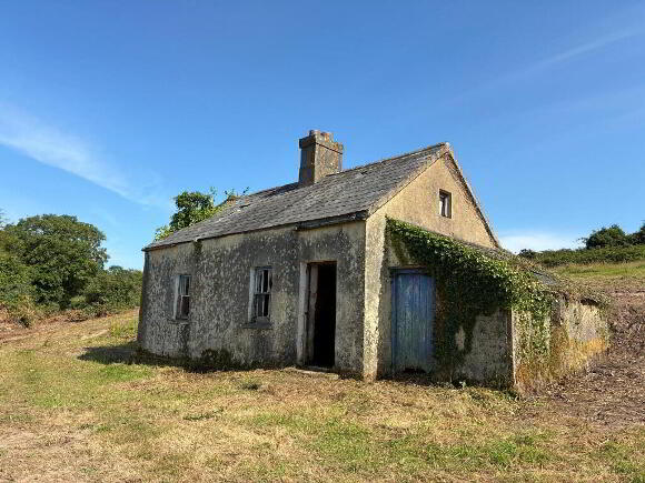 Photo 1 of Ballinaspick, Lismore
