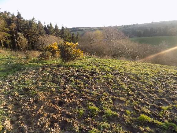 Photo 1 of Altmore Road, Cappagh, Dungannon