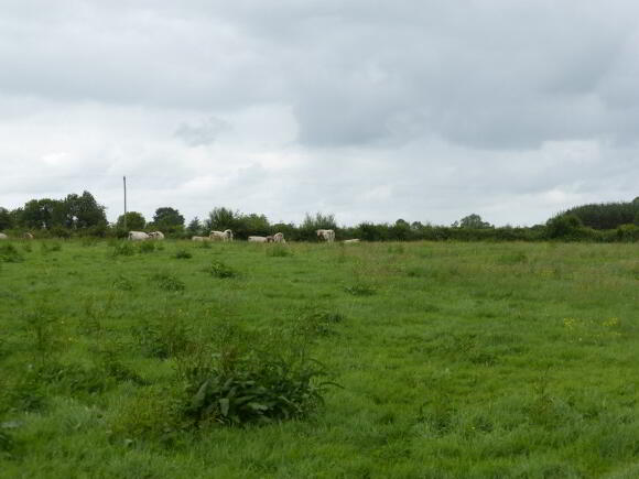 Photo 1 of Ballylanigan, Mullinahone, Tipperary