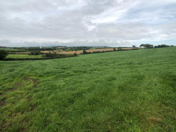 Photo 1 of 45 Acres, At Loughries Road, Newtownards