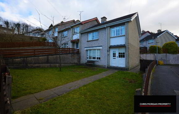 Photo 1 of 49 Springdale, Dungannon