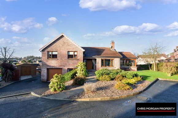 Photo 1 of 21 Laurelview, Dungannon