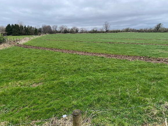 Photo 1 of C.0.5 Acres At Firville, Mallow