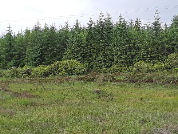 Photo 1 of Ballintra