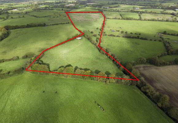 Photo 1 of 38 Acres, Martinstown, Athboy
