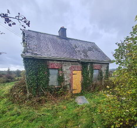 Photo 1 of Lathaleer, Baltinglass