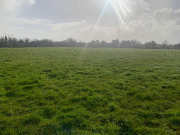 Photo 1 of Elmhill, Nenagh