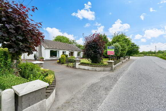 Photo 1 of Dogstown, Trim