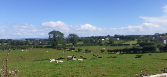 Photo 1 of Site App 50m NE Of 42, Ballymacilcurr Road, Maghera